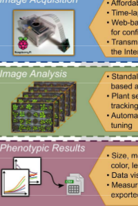 Phenotiki: An Open Software And Hardware Platform For Affordable And Easy Image-based Phenotyping Of Rosette-shaped Plants