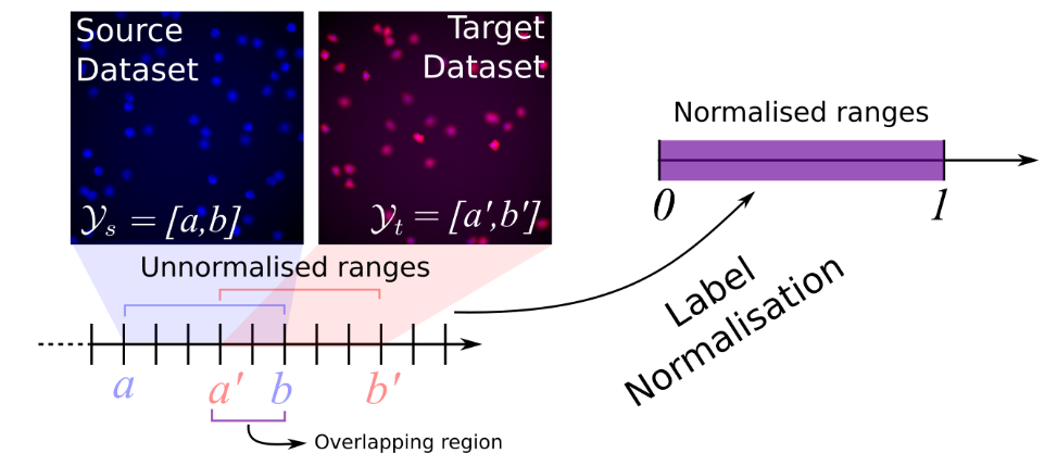 Semi-Supervised Domain Adaptation for Holistic Counting under Label Gap